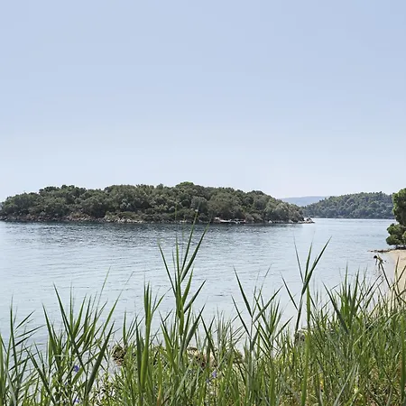 Mezoneta 4 Нидри