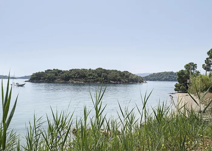 Mezoneta 4 니드리