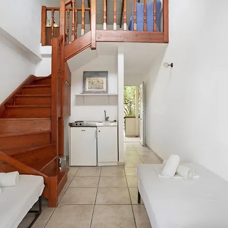 Mezoneta 4 ニドリ